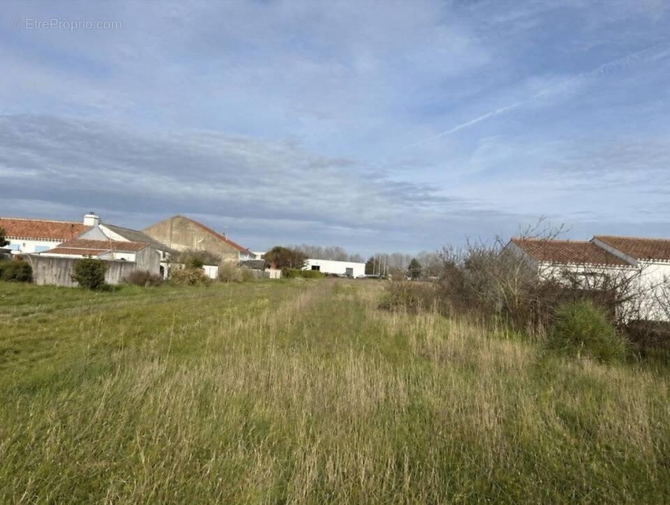 Terrain à BARBATRE