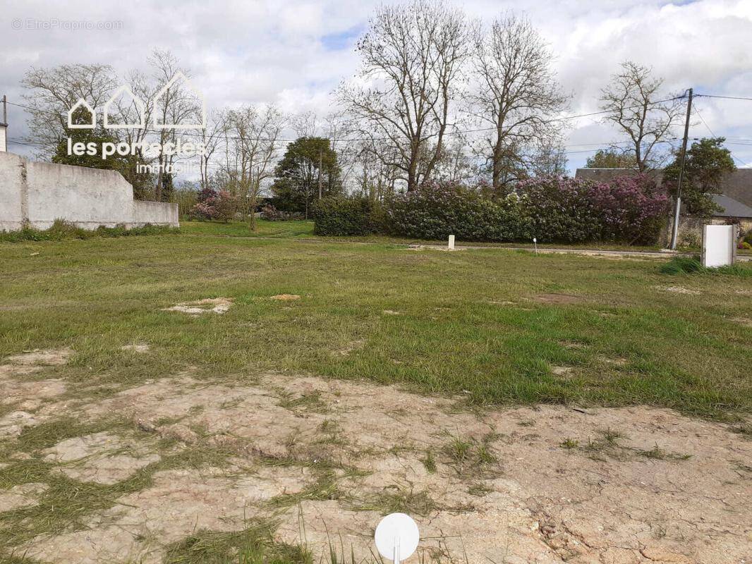 Terrain à SAINT-SAUVEUR-MARVILLE