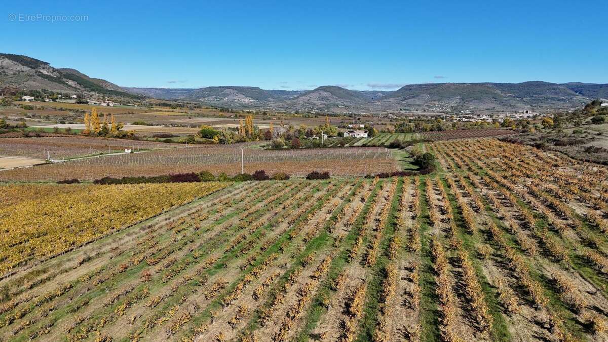 Maison à ALBA-LA-ROMAINE