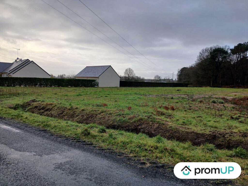 Terrain à SAINT-PHILBERT-DU-PEUPLE