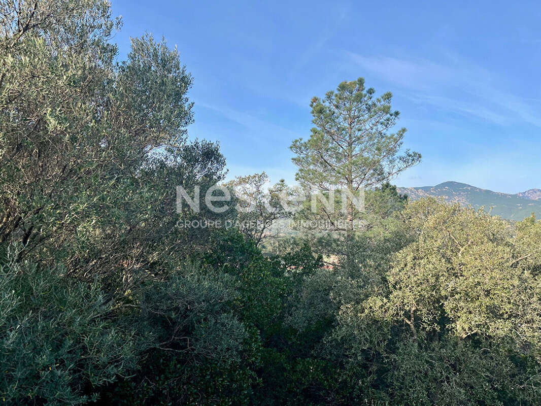 Terrain viabilisé constructible Sainte-Lucie de Porto-Vecchio 1400 m² - photo 2