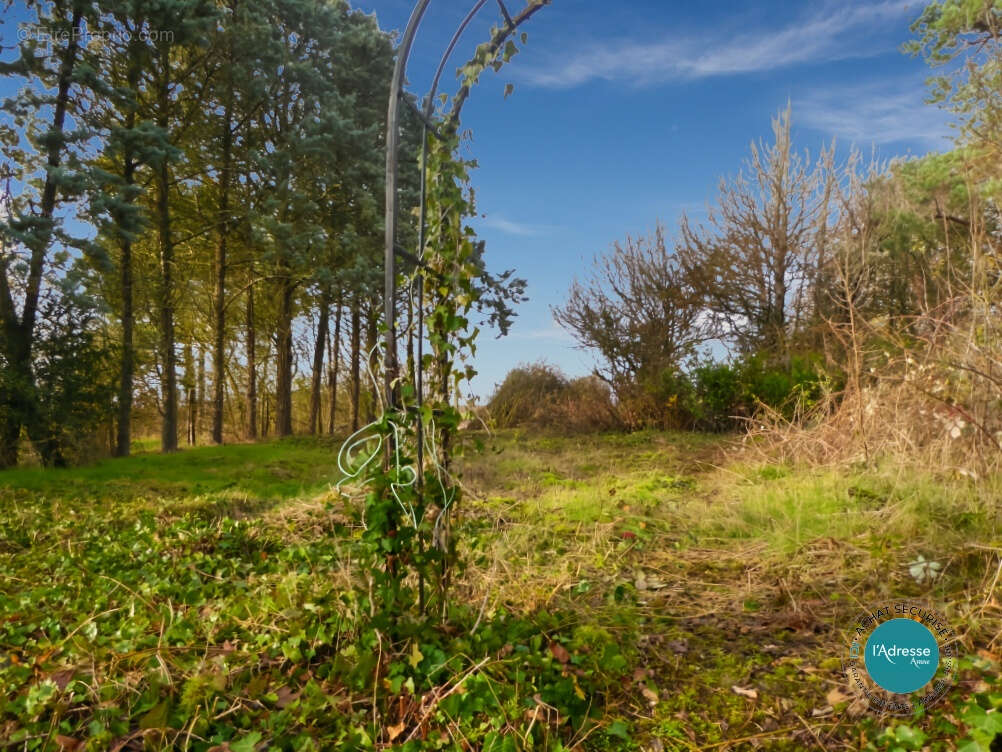 Maison à VALPUISEAUX