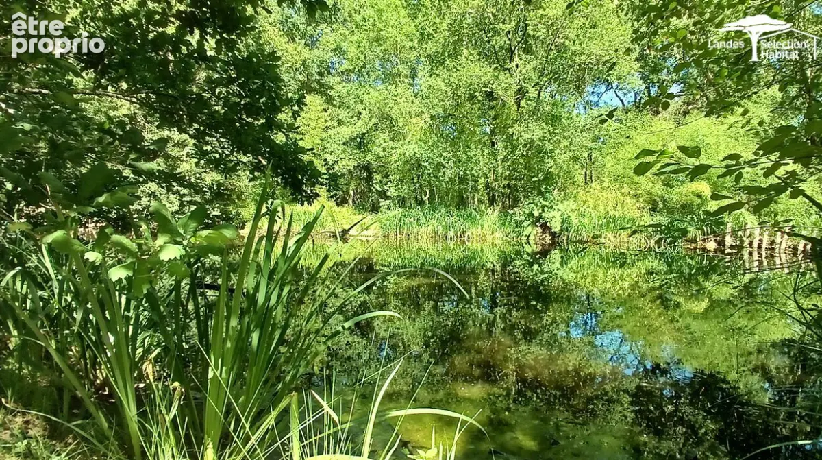 Propriété de caractère sur 4 hectares - 3 dépendances, étang - photo 7