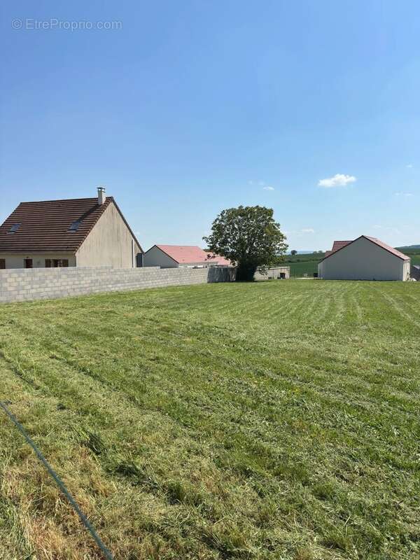 Terrain à CHAMPIGNY