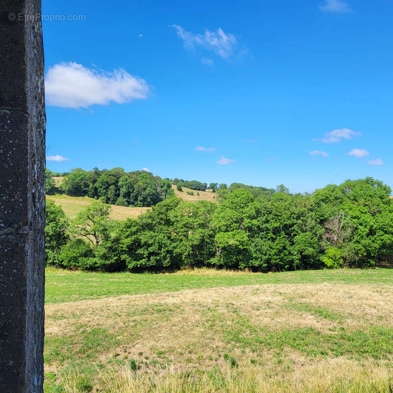 Grange en pierres - photo 14