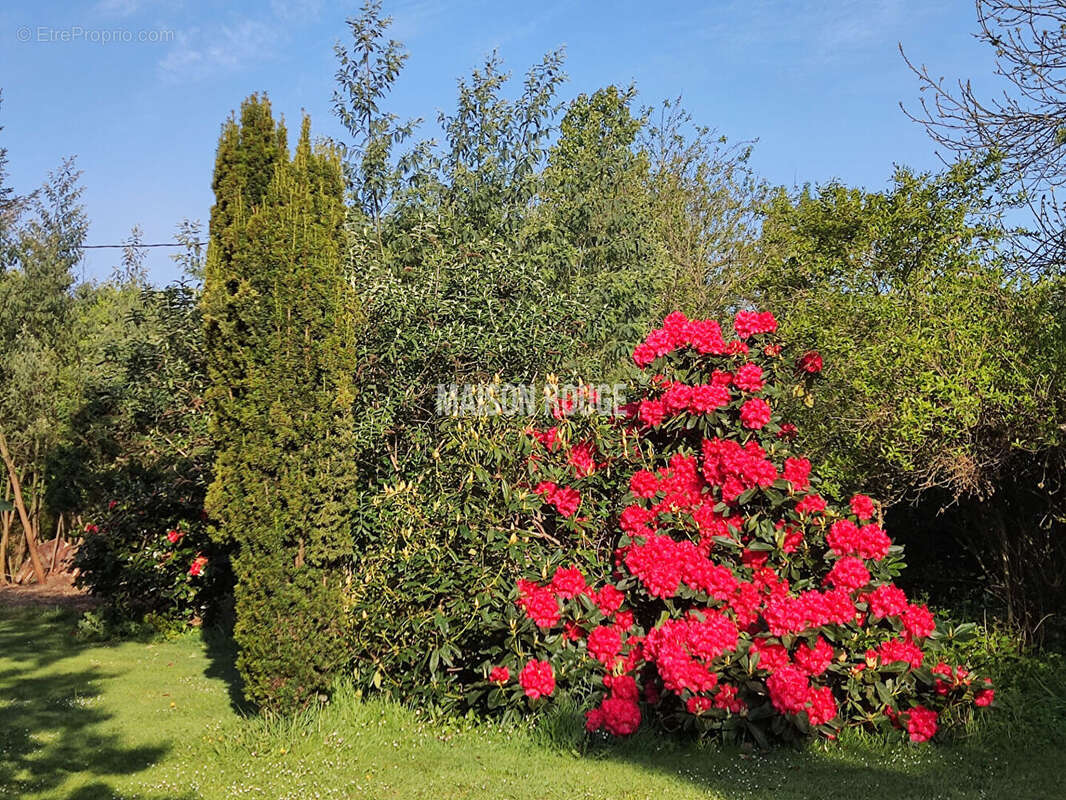 Maison à GOMMENEC'H