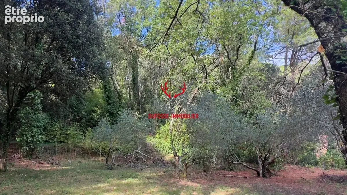 Villa au charme provençal avec piscine et Bois privé - photo 15