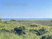 IMG_3213 - Maison à SARZEAU