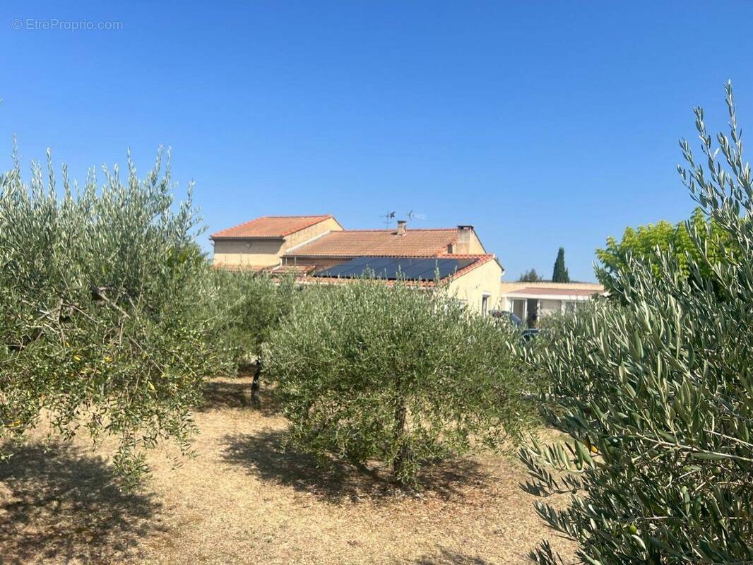 Maison à MODENE