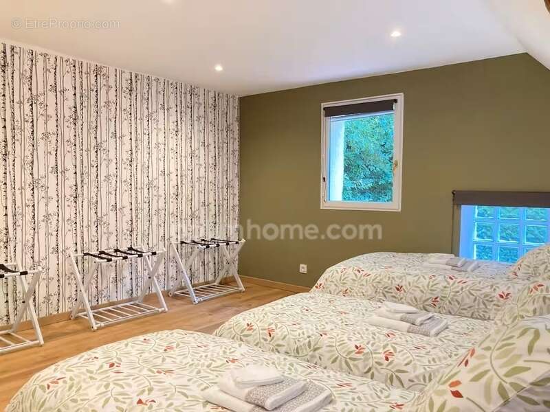Maison 4 pièces de 72 m² avec terrain arboré de 5 290 m² – Hangar – Terrasse – Prise véhicule électrique situé à Faverolles en B - photo 9