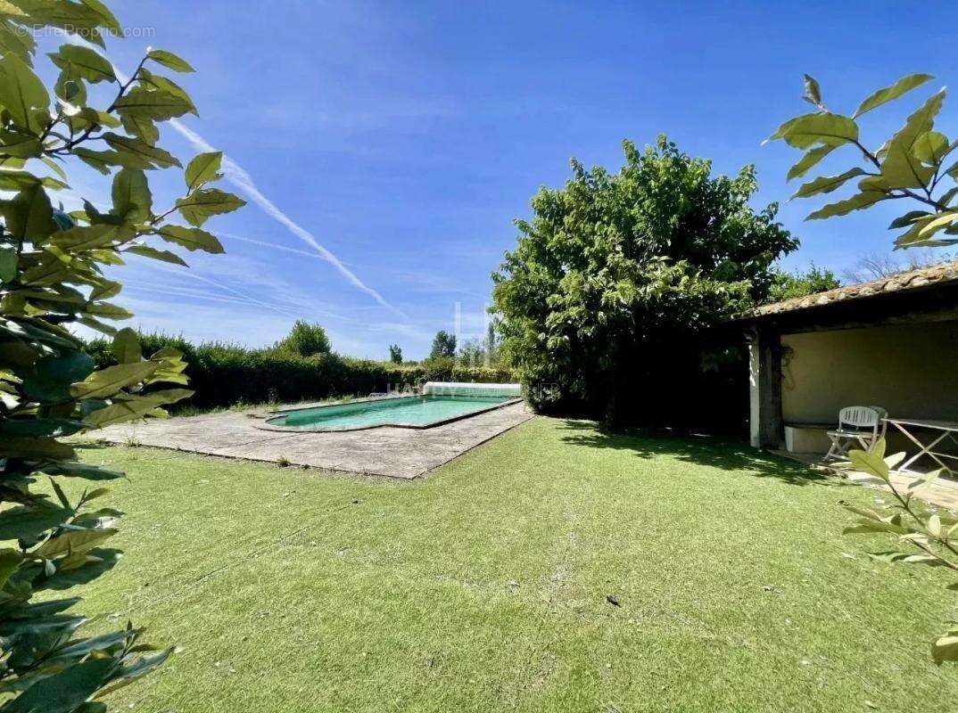 Mas familial sur 8000m2 de terrain à Arles - photo 8
