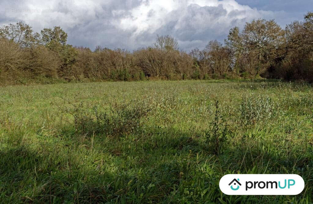 Terrain à LOQUEFFRET