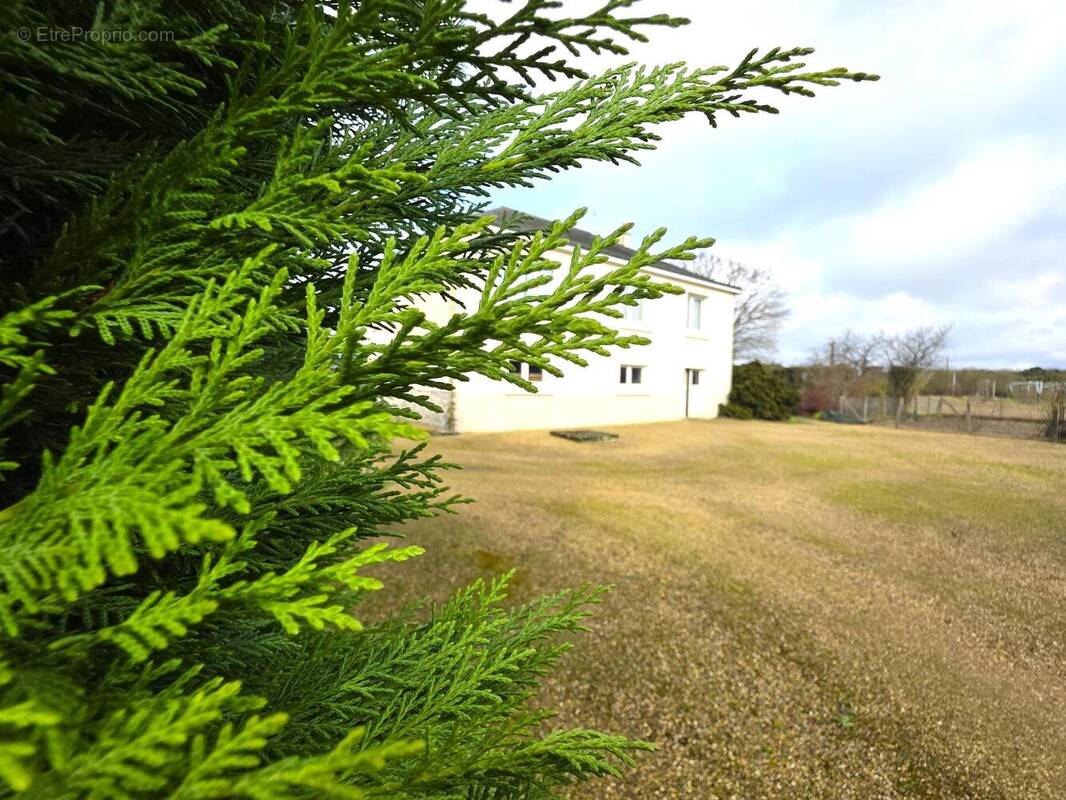 Photo 1 - Maison à NOYANT