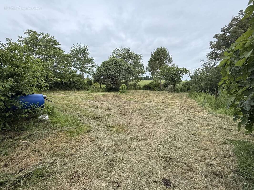 Appartement à LANNE-SOUBIRAN