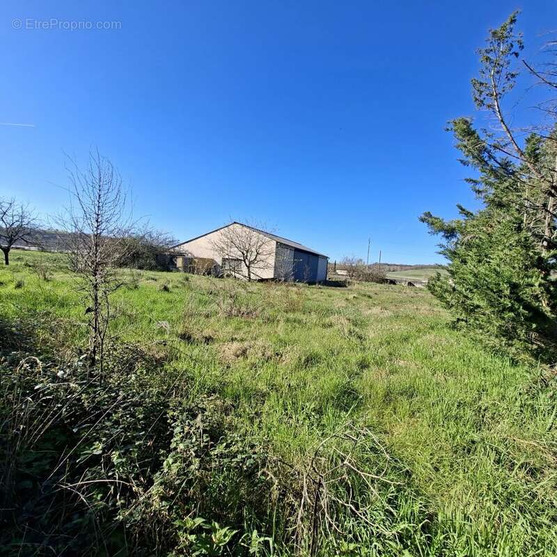 Commerce à MONTDRAGON