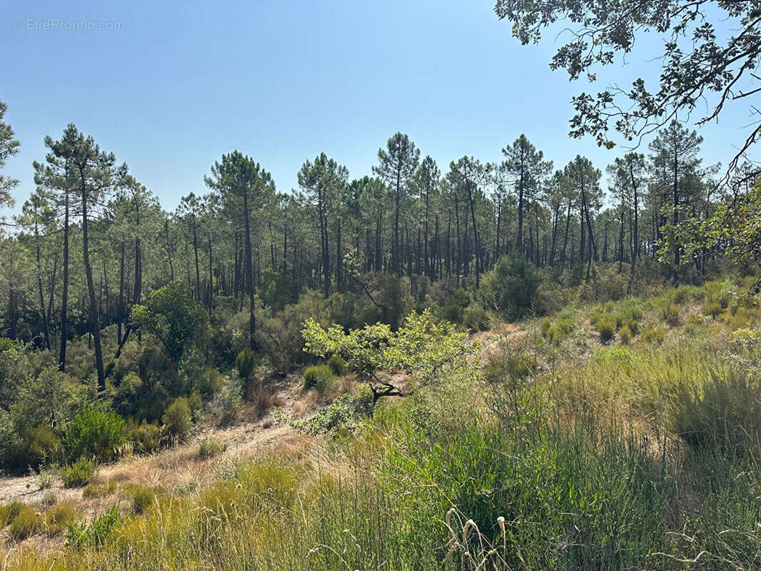 Terrain à TOURRETTES