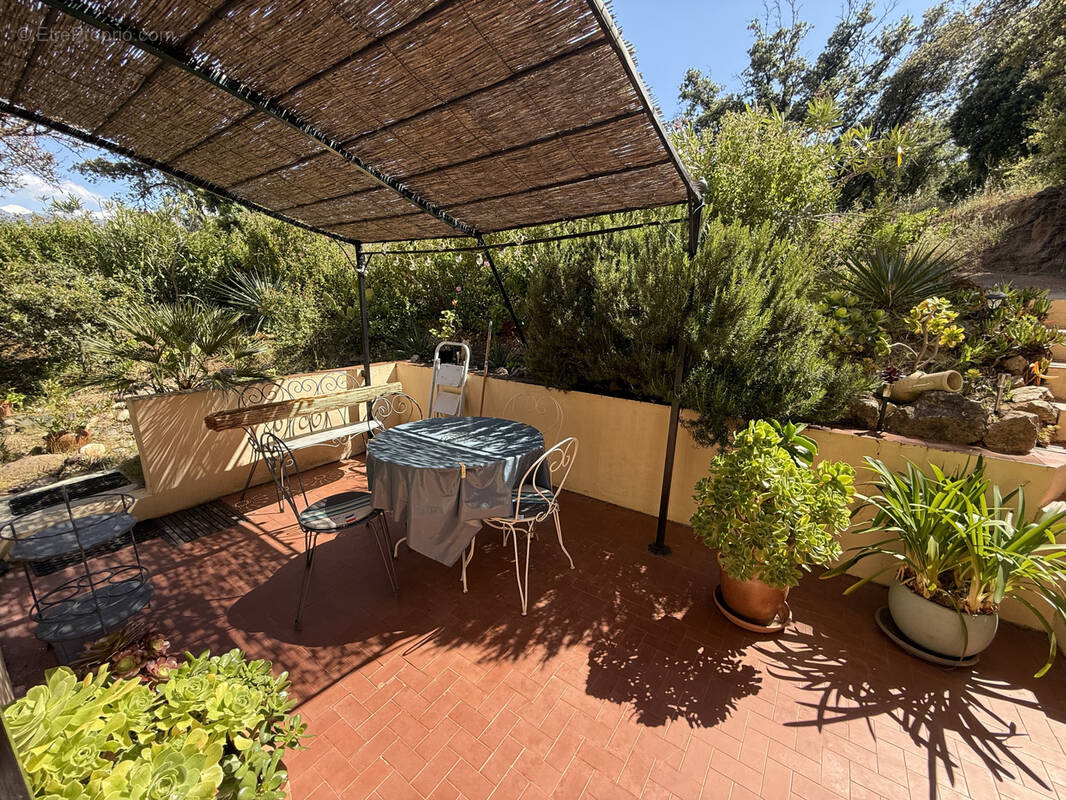 Appartement à CALVI