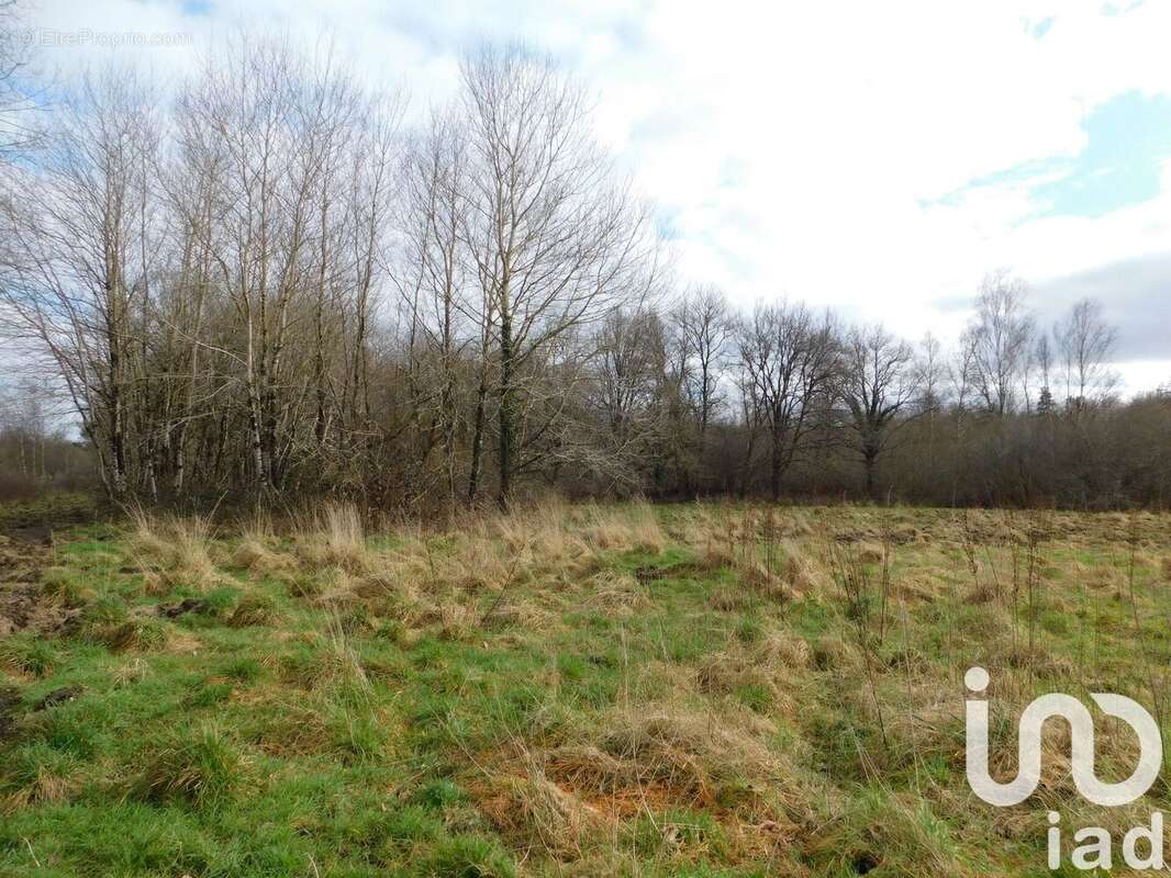 Photo 9 - Maison à SALBRIS