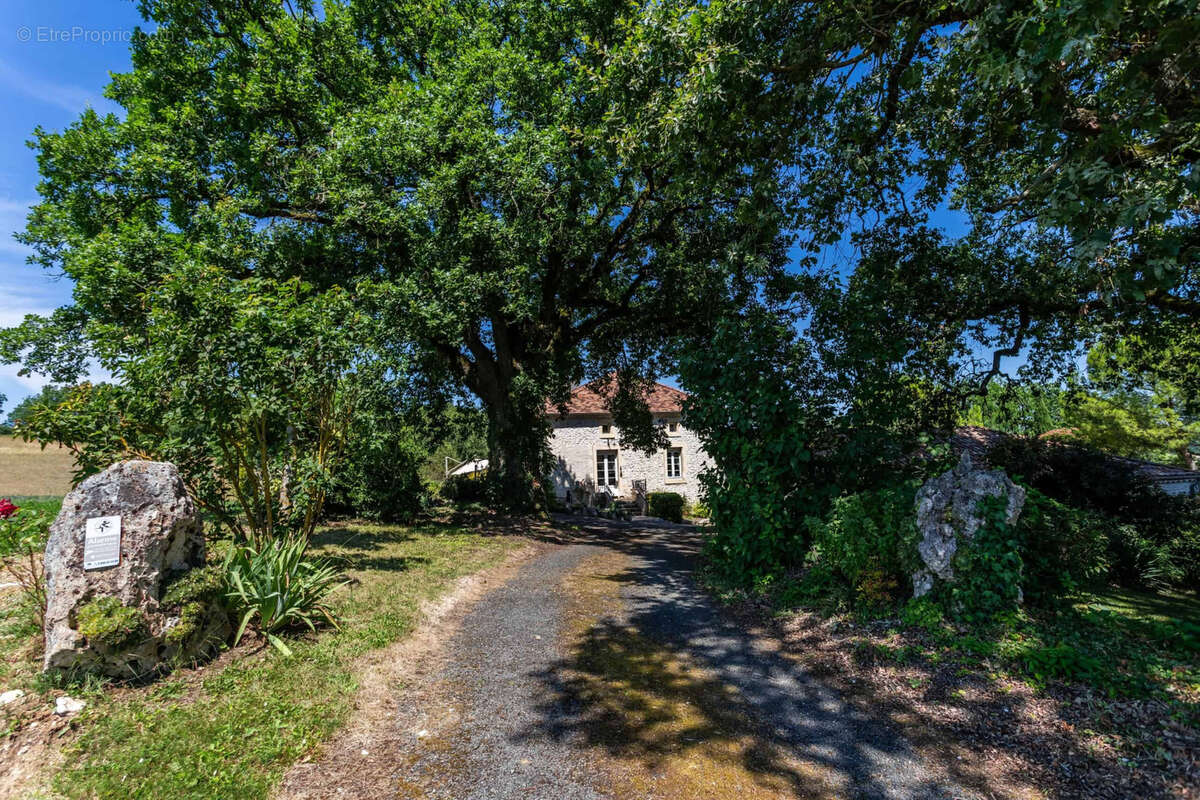 County property with pool and land - photo 17