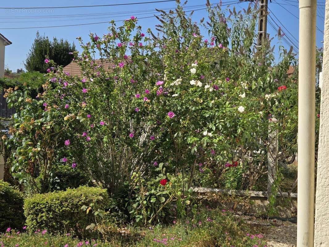Maison avec jardin et garage quartier tranquille secteur Heuzé - St Georges - photo 11