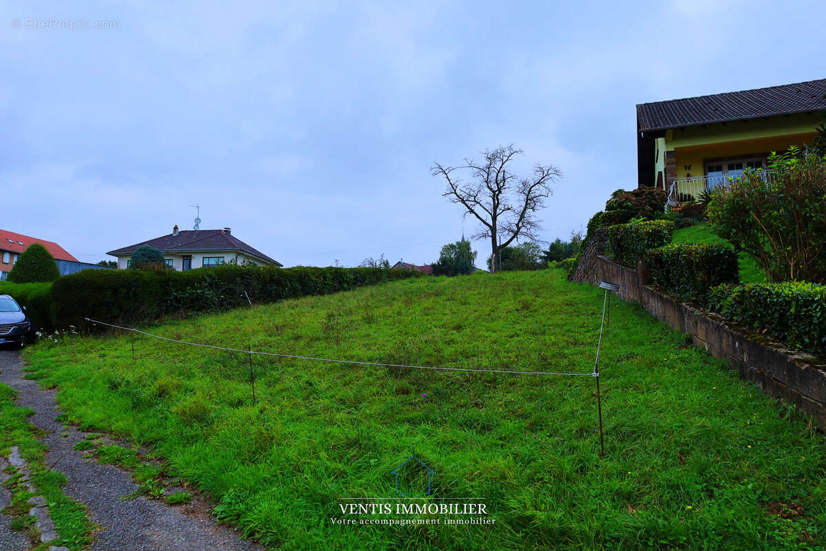 Terrain à DANNELBOURG