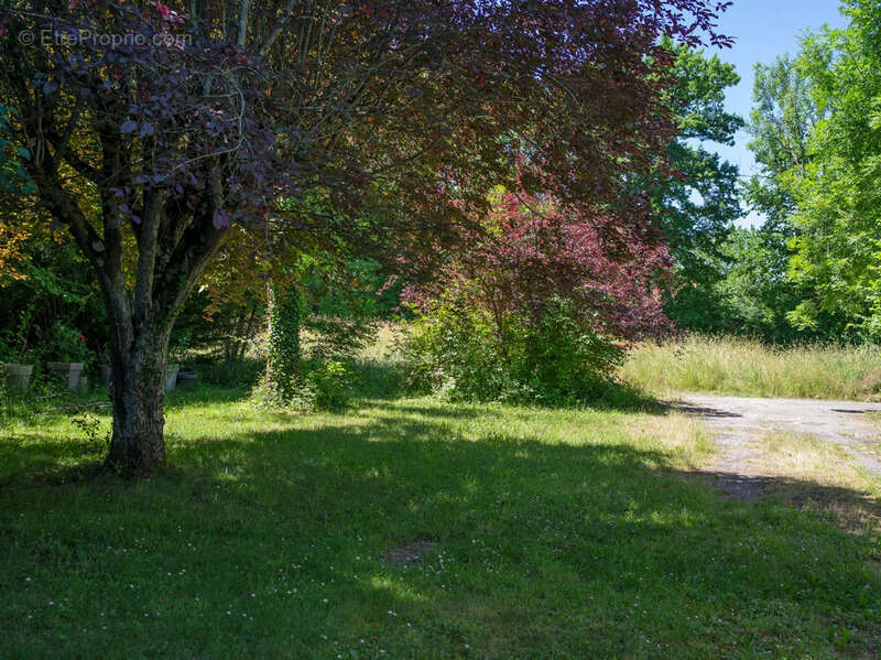 Dpt Haute Garonne (31), à vendre VILLENEUVE LECUSSAN maison à rénover T5 de 107m² habitables + abris voitures sur 730m² de terra - photo 4