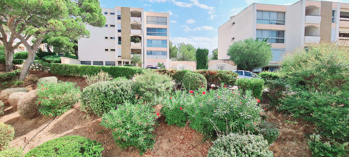  Studio Saint-Mandrier - photo 6