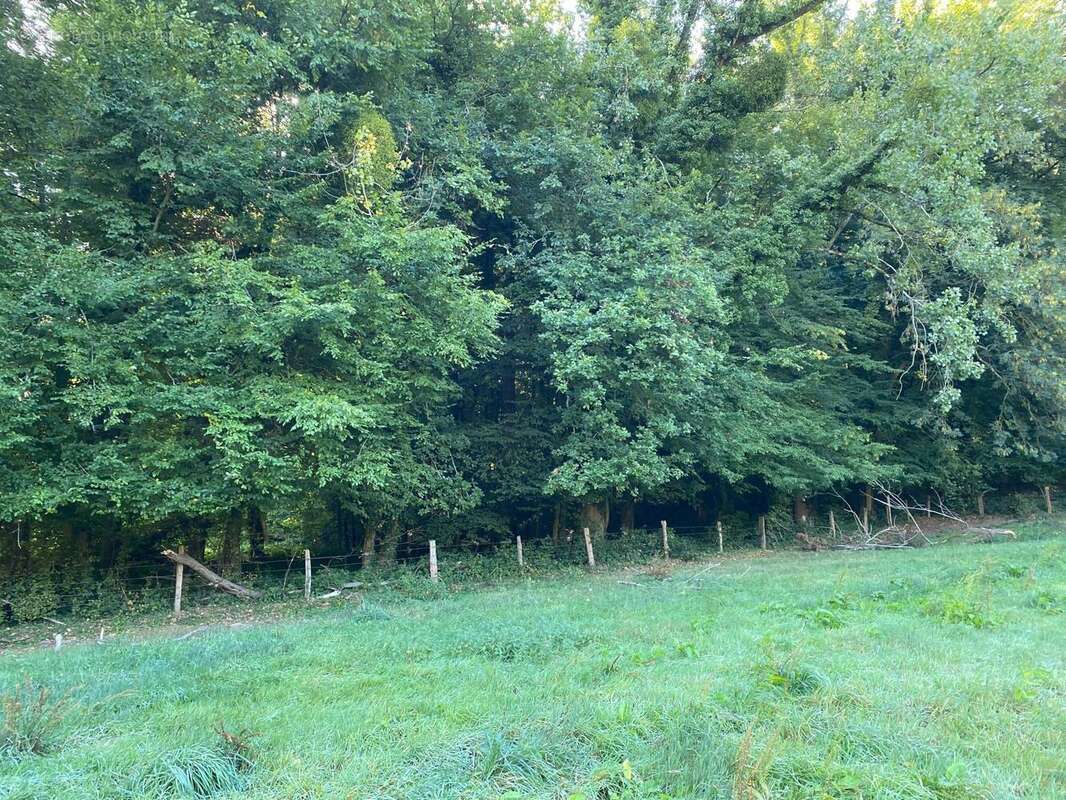 Photo 2 - Terrain à BERTHECOURT