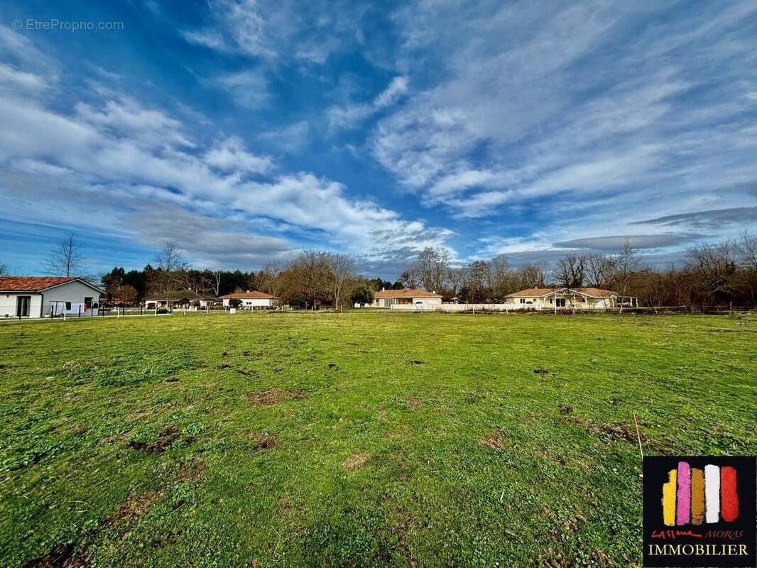 Terrain à SAINT-JULIEN-EN-BORN