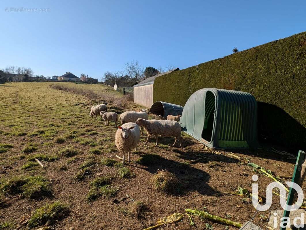 Photo 2 - Terrain à MOISDON-LA-RIVIERE