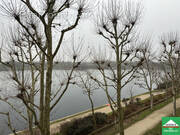 Appartement à CRETEIL