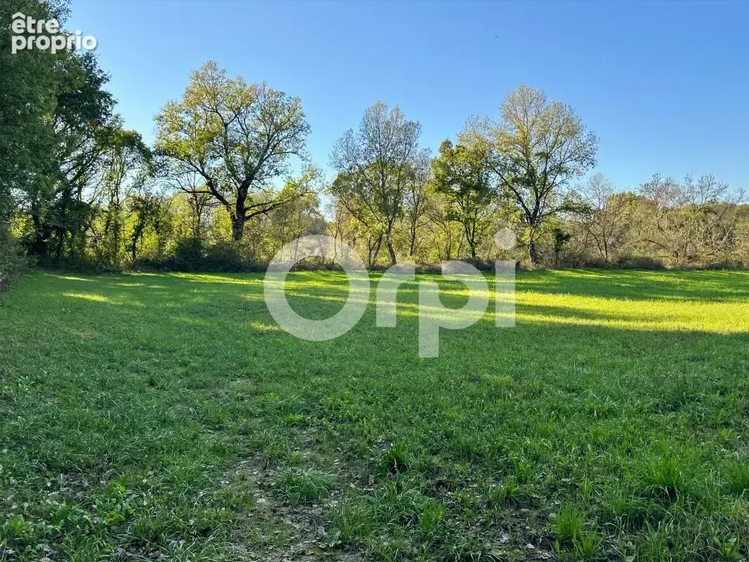 Terrain À Vendre 5 960 m² - photo 10