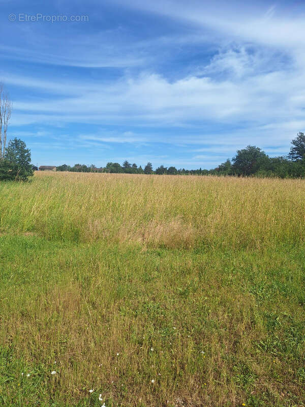 Terrain 600 m² à Sainte-Livrade  - photo 2