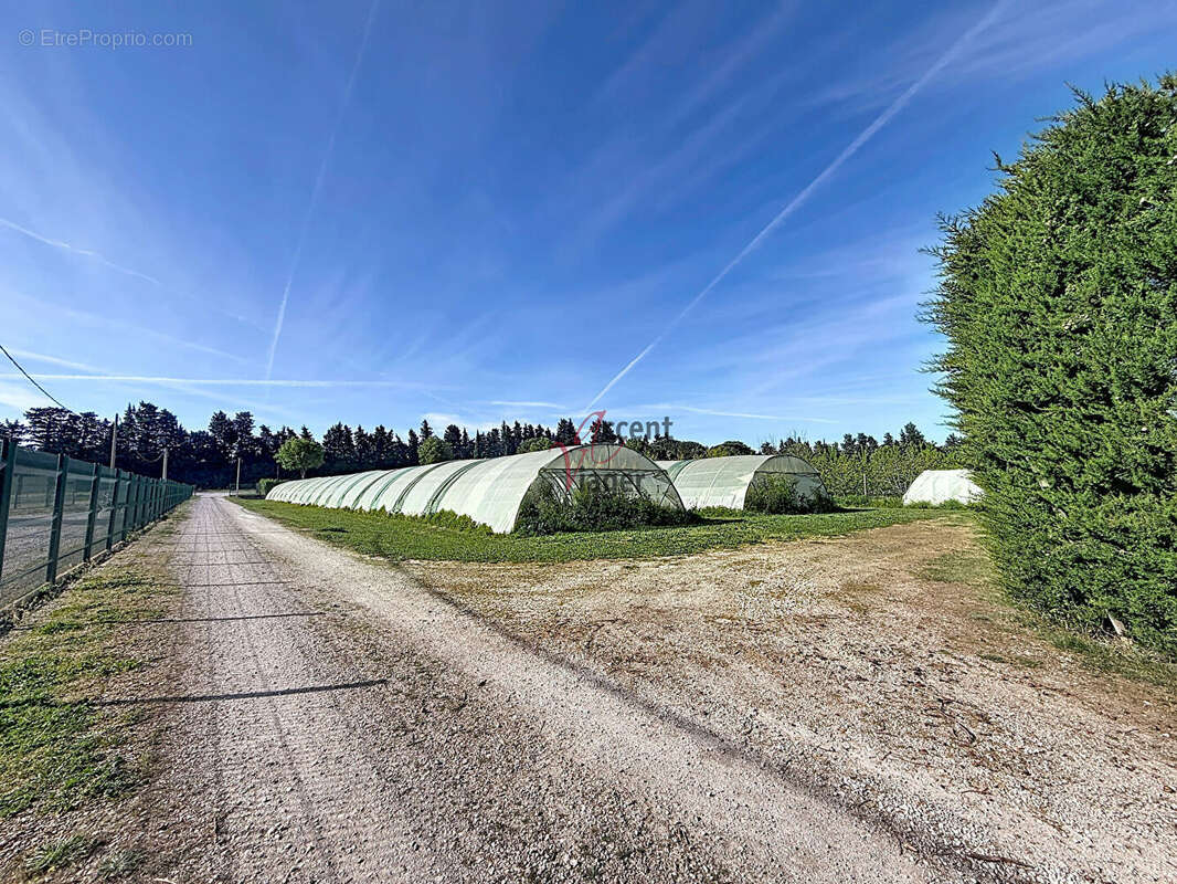 A vendre en viager occupé maison en campagne de Saint Andiol. - photo 17