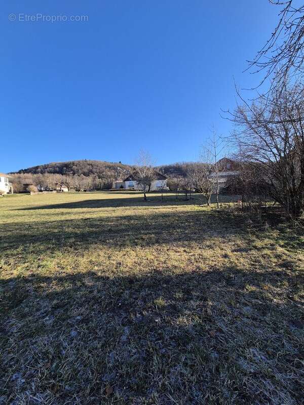 Terrain à LONGEVILLE
