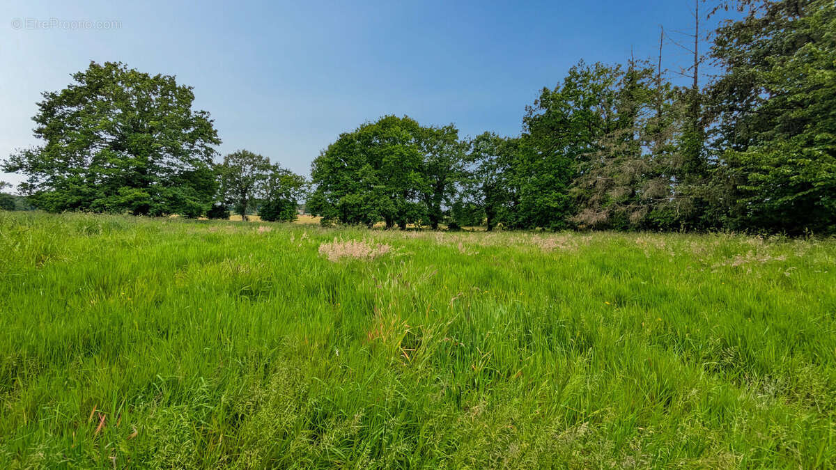 Ensemble immobilier 2 maisons hangar terrain 2753 m² Dingé - photo 15