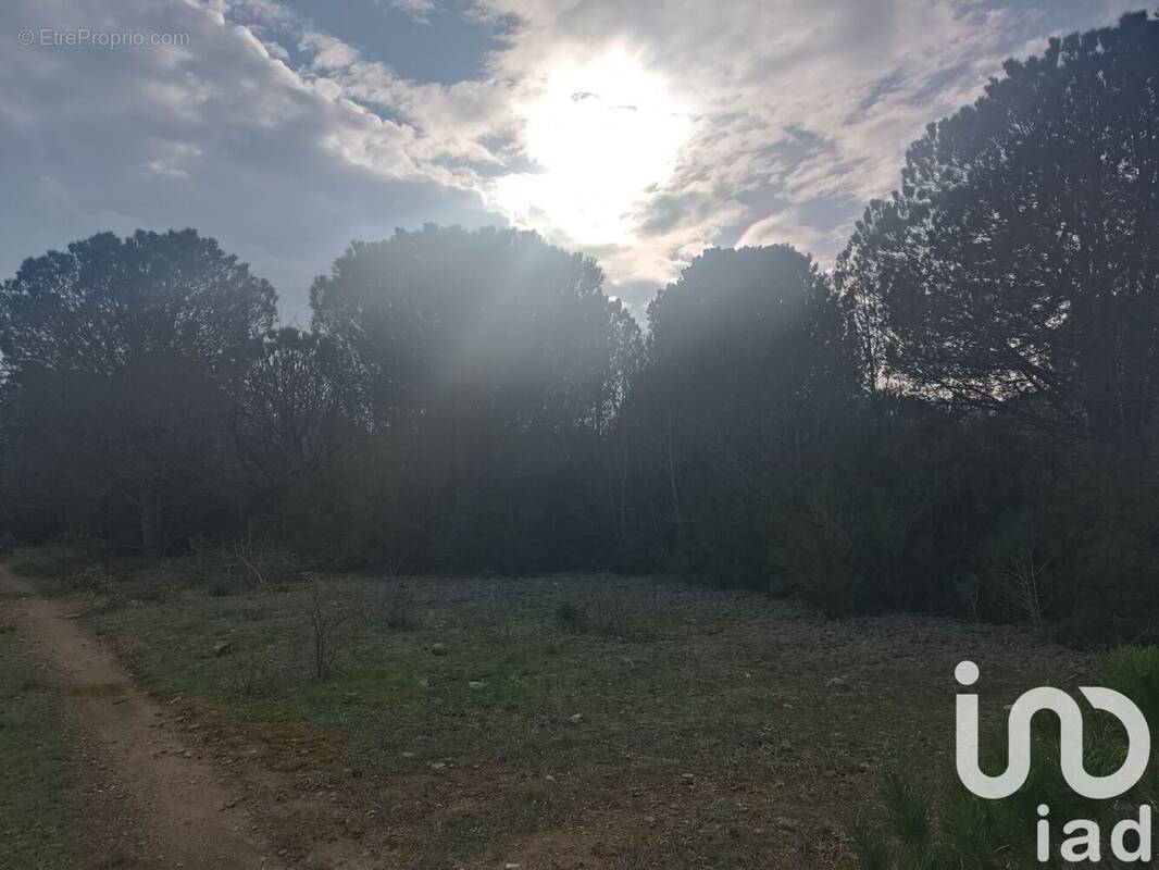 Photo 1 - Terrain à ORTAFFA