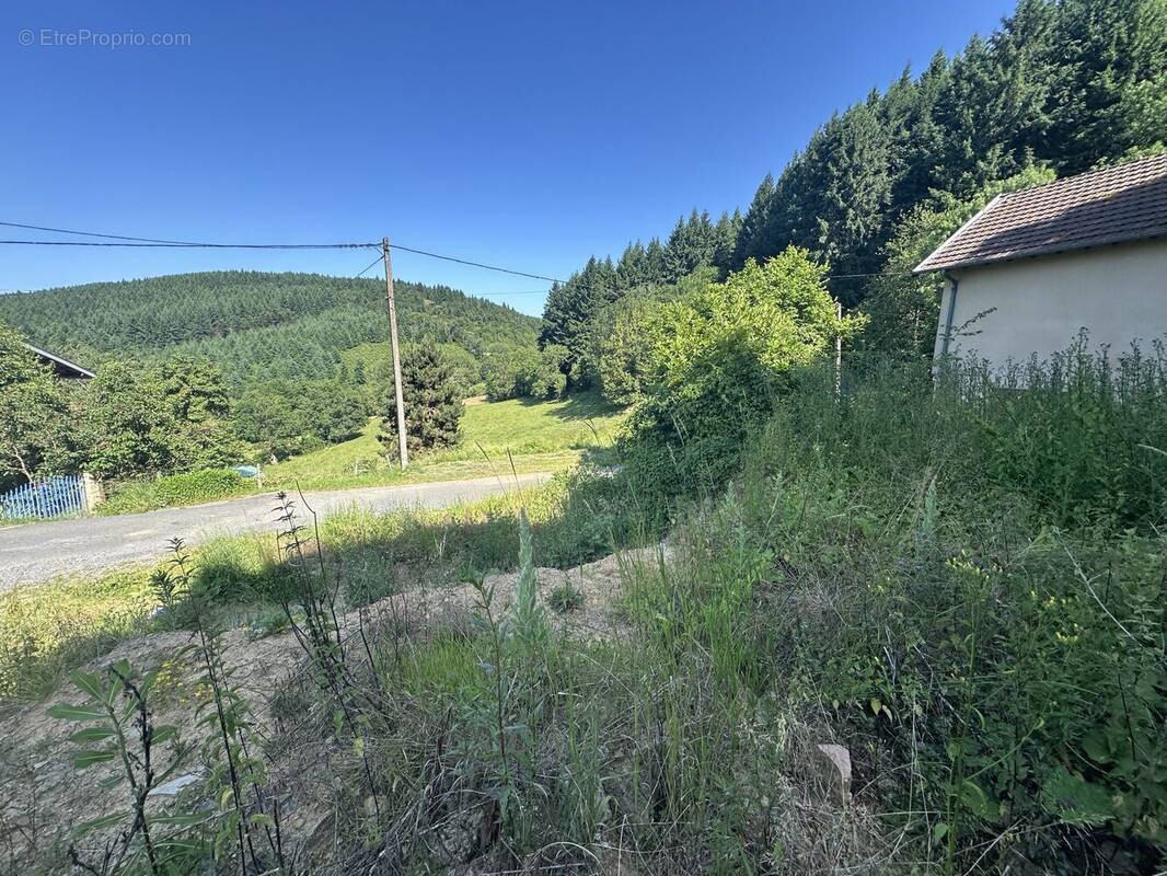 Terrain à SAINT-DIDIER-SUR-BEAUJEU