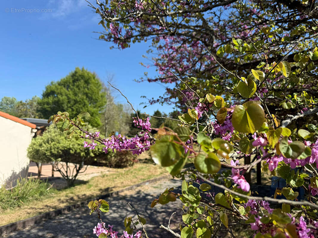Maison à BOURGNEUF-EN-RETZ