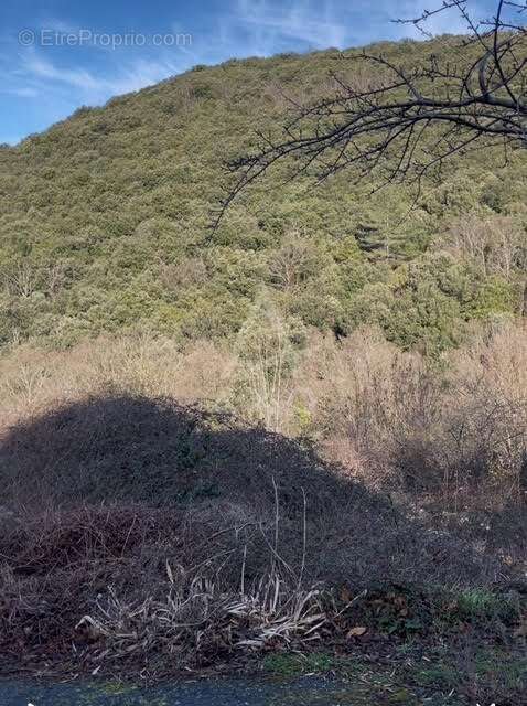 Maison à SAINT-ETIENNE-D&#039;ALBAGNAN