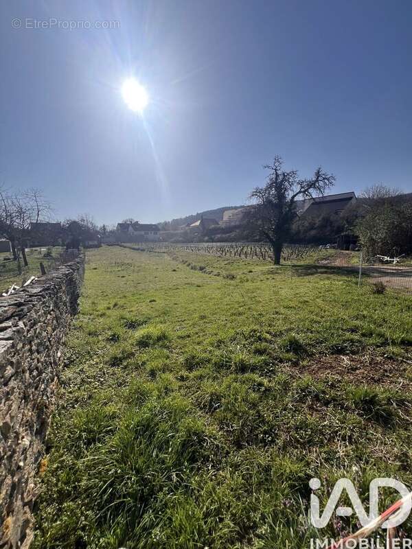 Photo 2 - Terrain à COUCHEY