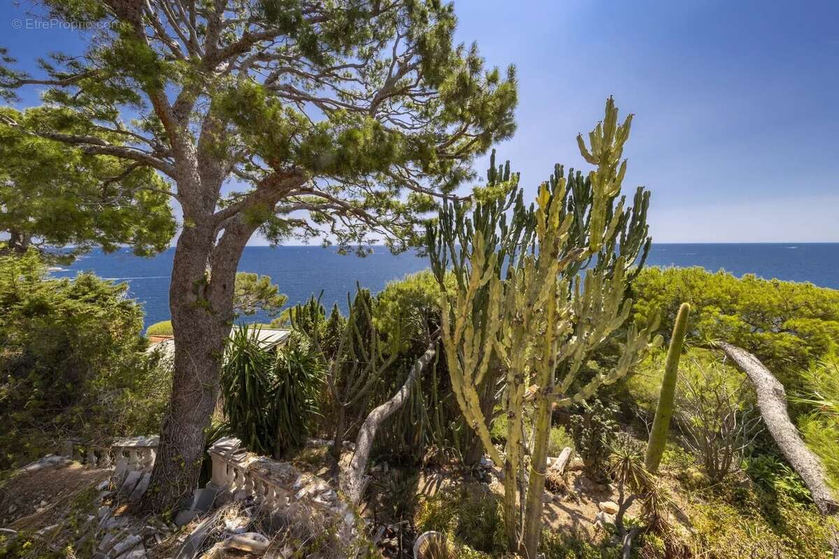 Eze - Cap Estel - Villa d'exception à rénover - photo 4