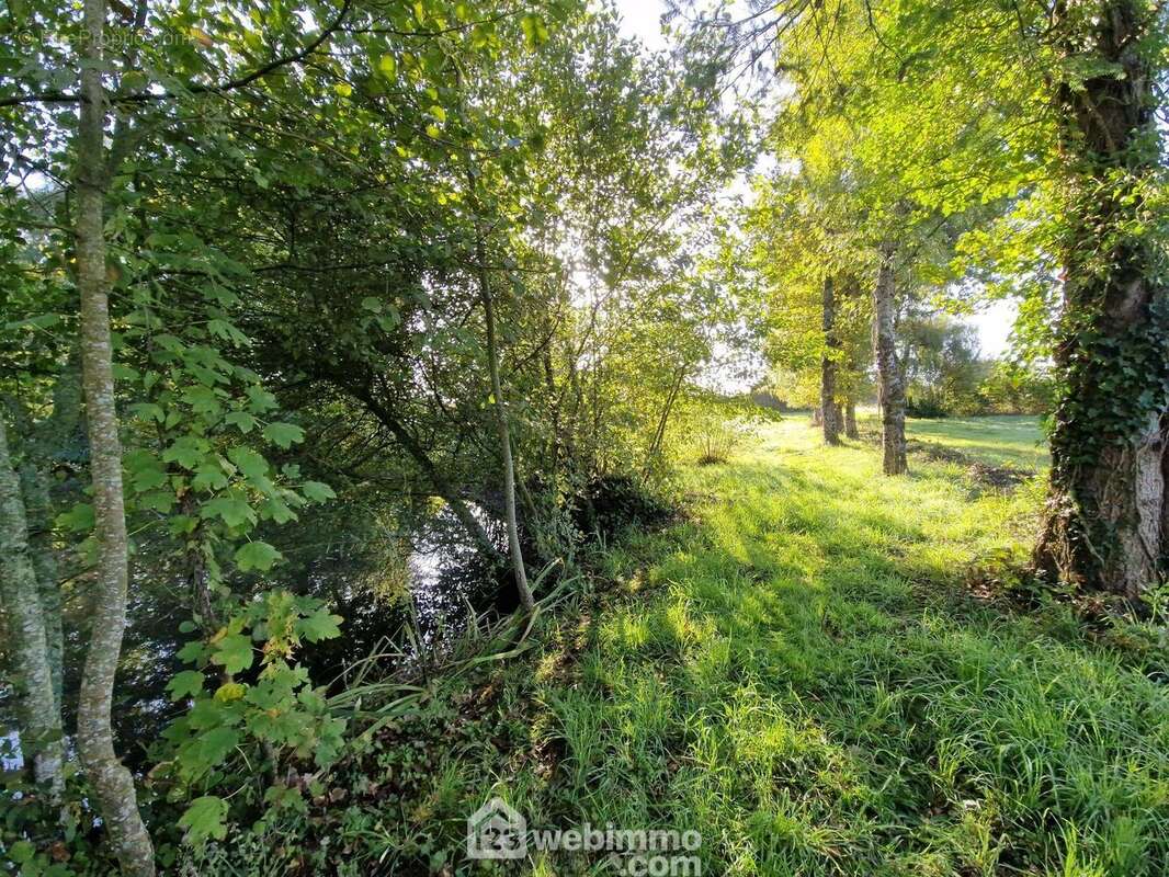 Terrain à NIEUL-LE-DOLENT