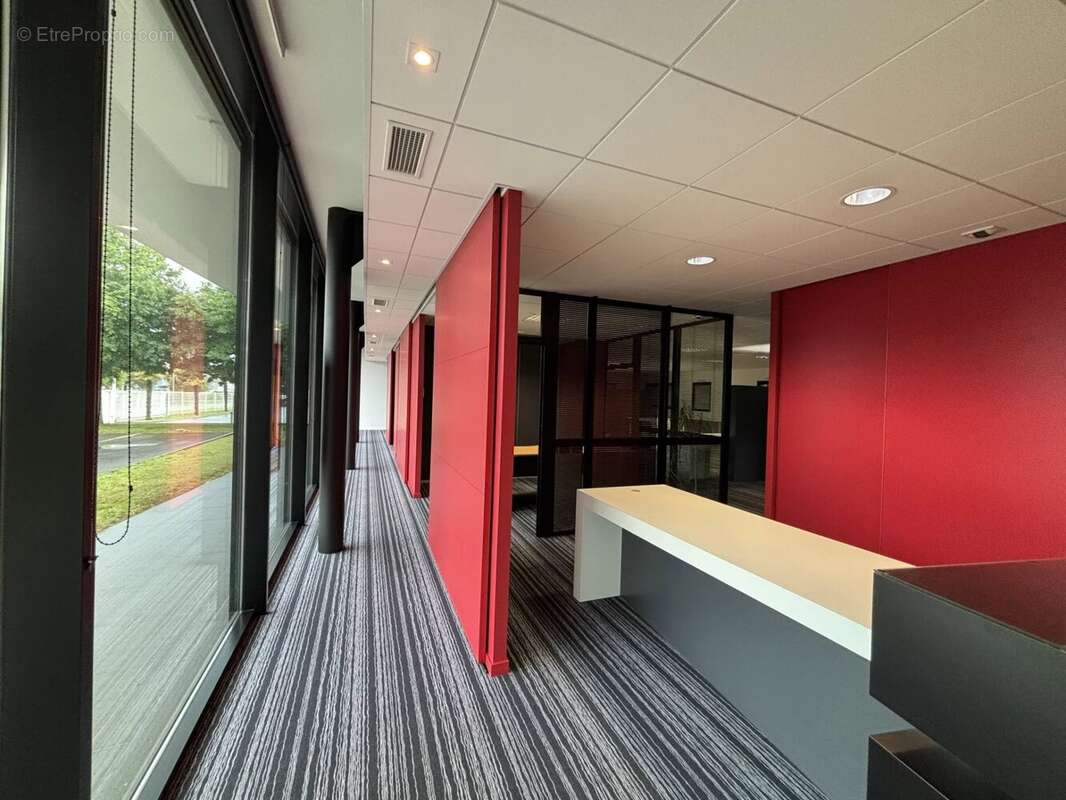 Commerce à L&#039;ILE-D&#039;OLONNE