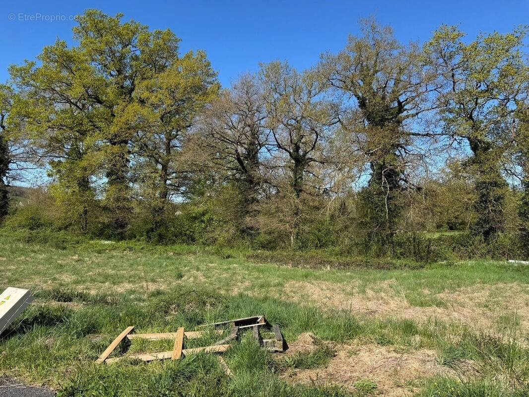 Terrain à MONTROZIER