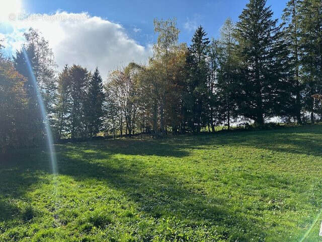 Maison à OYE-ET-PALLET