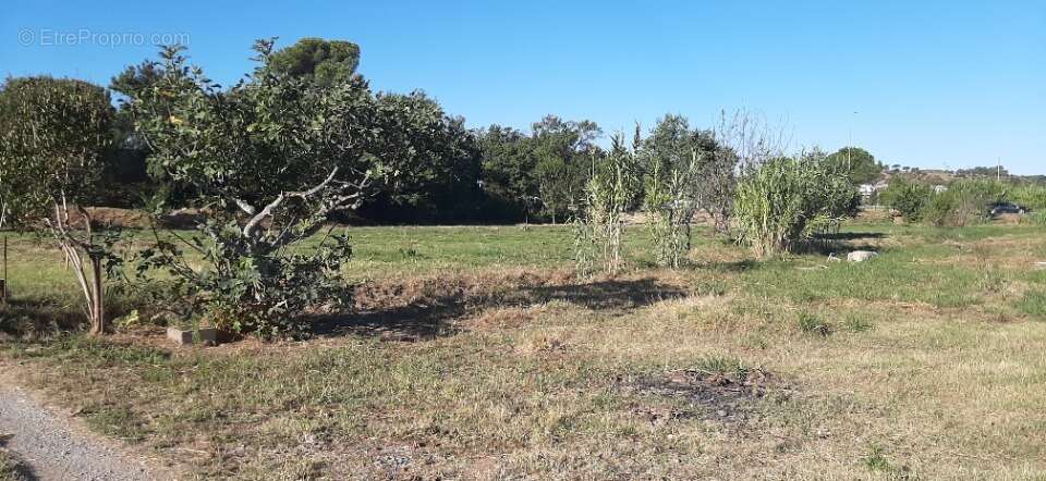 Terrain à FREJUS