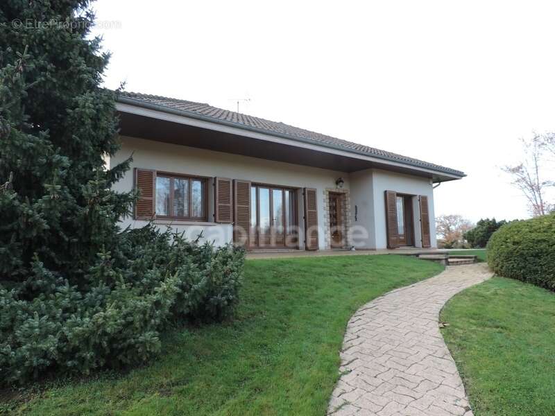 Maison à DOMPIERRE-SUR-VEYLE