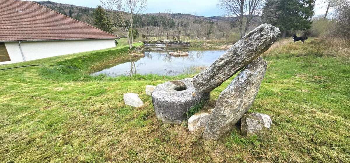 Maison à HAUTEVILLE-LOMPNES