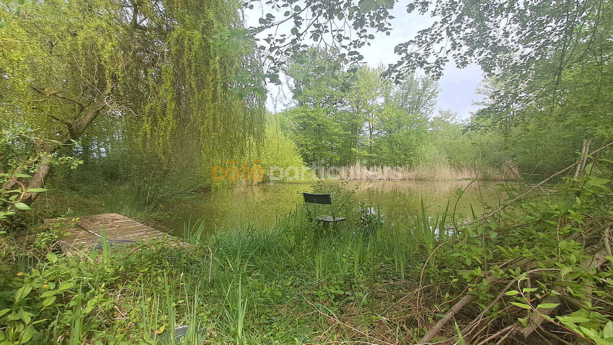 Terrain à CHEVILLON-SUR-HUILLARD